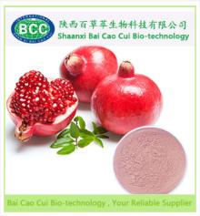 Pomegranate juice powder