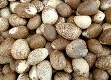 Quality Palm Nut