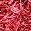 red whole chili