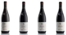 Wine Barolo, Barbera, Montalcino, Chianti, prosecco Italy