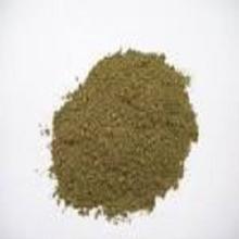 Natural Mint Powder