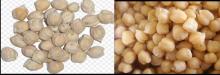 CHICKPEA KABULI