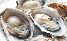 Fresh Coffin Bay King Oysters ( Wonderful Prices)