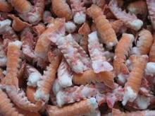 Frozen  head -on, shell -on scampi