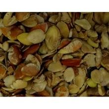 Best Quality Ogbono Nuts