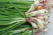  Chives 