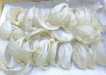  EDIBLE   BIRD   NEST  - PURE