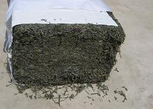 Dried Gracilaria Seaweed, Eucheuma Spinosum, Eucheuma Cottonii, Ulva Lactuca Seaweed, Seaweed Powder