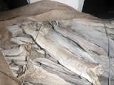 norway stockfish, dried stockfish, iceland stockfish, stockfish cod