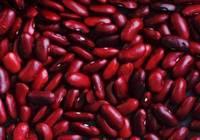 Speckled Kidney Bean
