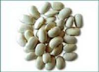 White Kidney Bean