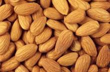 Almond Nuts, Apricot Kernels, Betel Nuts, Brazil Nuts, Canned Nuts, Cashew Nuts, Chestnuts nuts for