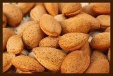Almond,Cashew  Nuts ,Pistachio  Nuts ,Wal nuts ,Brazil  Nuts ,Pecan  Nuts ,PIN  Nuts 