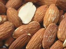 Macadamia Nut , Apricot Kernels, Cashew Nuts, Hazelnuts, Almonds, Pistachio Nuts