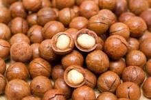 Organic Macadamia Nuts for sale