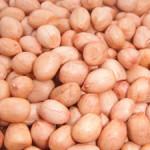 Gnuts