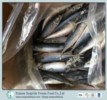 Chub Mackerel Fish Frozen Pacific Mackerel