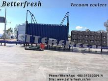 Asia Manufacture Fresh Produce Vacuum Cooler 1 Pallet-24pallets