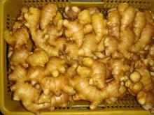 Fresh Ginger(various sizes)