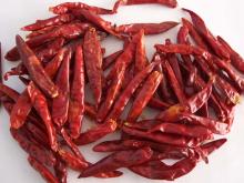 New Dried Chili