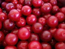 fresh cherries fruits for sale