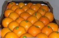 Fresh   Orange ,  Citrus   Fruit 