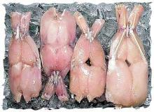 frozen bull frog for sale