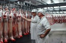 frozen halal lamb for sale
