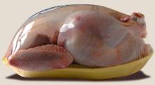  Halal   Certified  Whole Frozen Chicken for Export