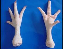 Frozen chicken Feet for export