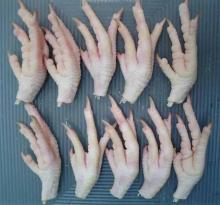 Frozen chicken Paws for sale