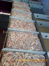 Frozen and Fresh Duck Meat