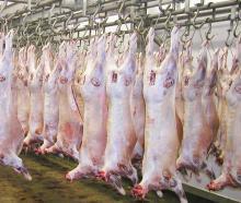  Halal  6 Cuts  Lamb  Meat,  Mutton  Meat,  Goat  Meat and Boer  Goat  Meat for Sale