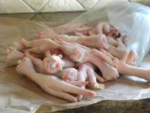 FROZEN CHICKEN FEET,WINGS,PAW/HALAL