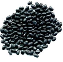 Dried salted&roasted black soy-beans