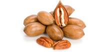 Pecan Nut In Shell, Wholesale Pecan Nuts
