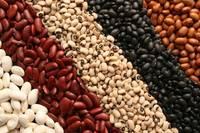 Kidney Beans ( White,Read,&Black),Mung Beans.