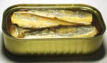 Canned oil sardine fish.for sale