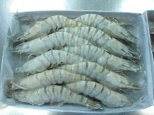 White shrimps, frozen black tiger shrimps, frozen vannamei shrimps