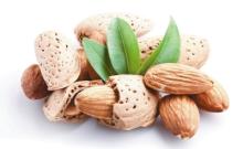 Pure Sweet Almond Oil Vegetable Oil Plant Oil Essential Oil In A Bulk