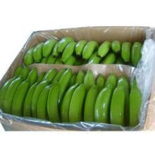 Fresh Cavendish Banana Grade A