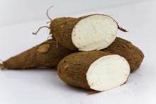 Fresh cassava