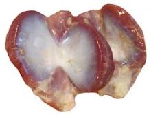 Quality Halal Frozen Whole Chicken and Parts Gizzards / Thighs / Feet / Paws .Drumsticks,.