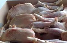 Quality Halal Frozen Whole Chicken and Parts Gizzards / Thighs / Feet ./ Paws .Drumsticks.,.