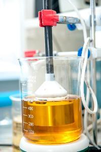 Crude  Sunflower   Oil 