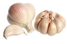 mesh bag packing fresh garlic