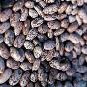 Wholesale Dry Beans Light Speckled Kidney Beans/.,