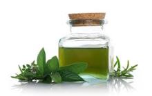 wholesale pure peppermint oil prices