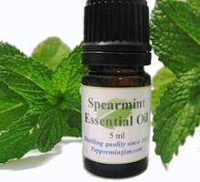 Bulk Spearmint oil Price