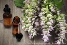 Natural Pure 100% Clary Sage Essential Oil